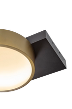 Square in Circle Ceiling Light