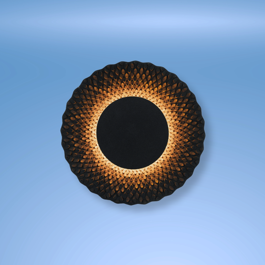 Sun VXS8