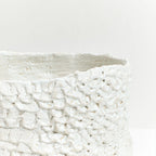 Casa Planter No.1