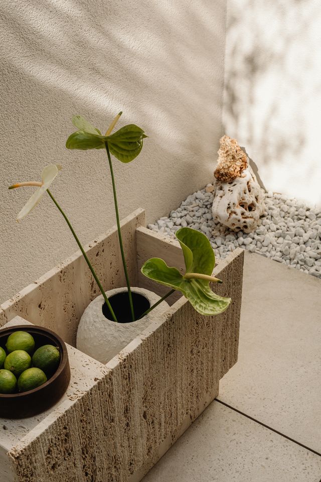 Lido