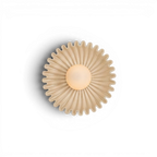 Ostro Wall Light