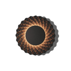 Sun VXS2