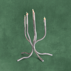 Small Candelabra